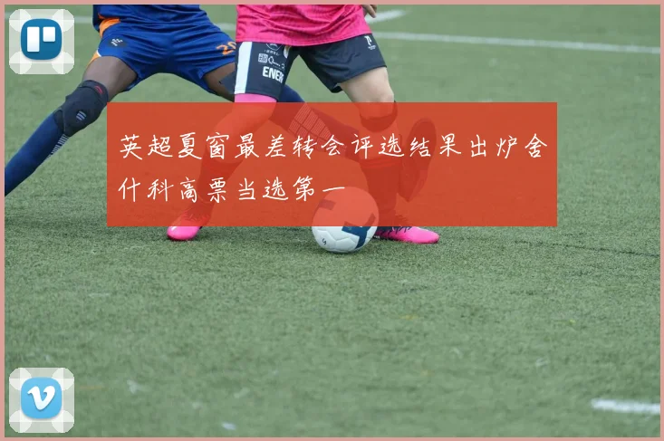 英超夏窗最差转会评选结果出炉舍什科高票当选第一