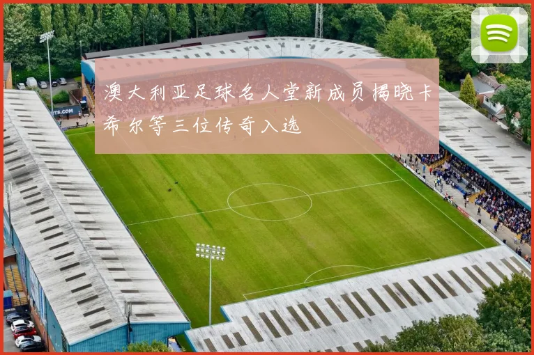 澳大利亚足球名人堂新成员揭晓卡希尔等三位传奇入选