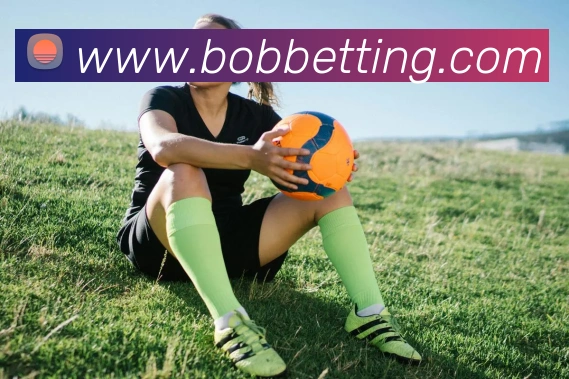 BOB体育平台生态图